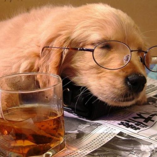 14 причин, почему вы всегда уставший