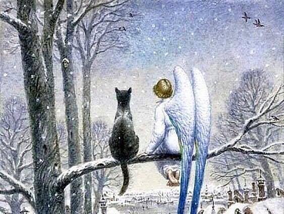 15350547_1759169057679235_8994690640216418410_n-1