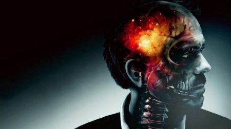 ������ ������������� ����