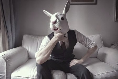 ��� ������� ������������ ���������