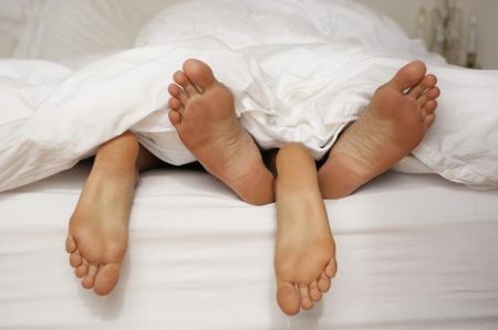 ������� ������ �������� ����������� ���