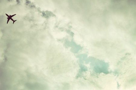 ����� ���������, ��� �������, �������