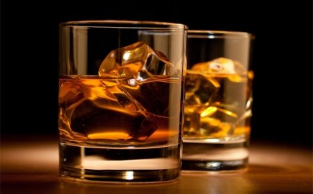 5 ����� �����, � ������� ���� ������ ���������������