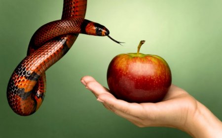 ����� ����� ������������ ����� �������?