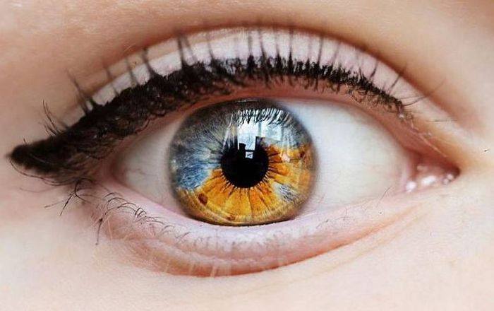 40 фактов о глазах, которых вы не знали