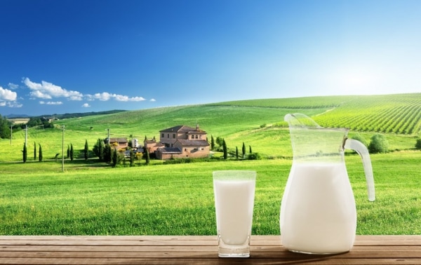 Опасное молоко: 5 причин забыть об этом продукте навсегда