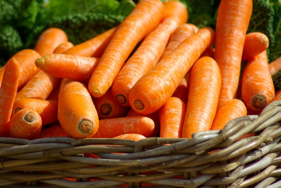 Удивительные свойства моркови