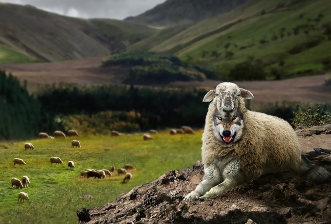 Как вычислить волка в овечьей шкуре