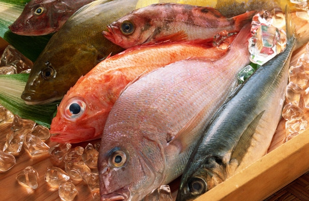 Названы самые жирные виды рыб