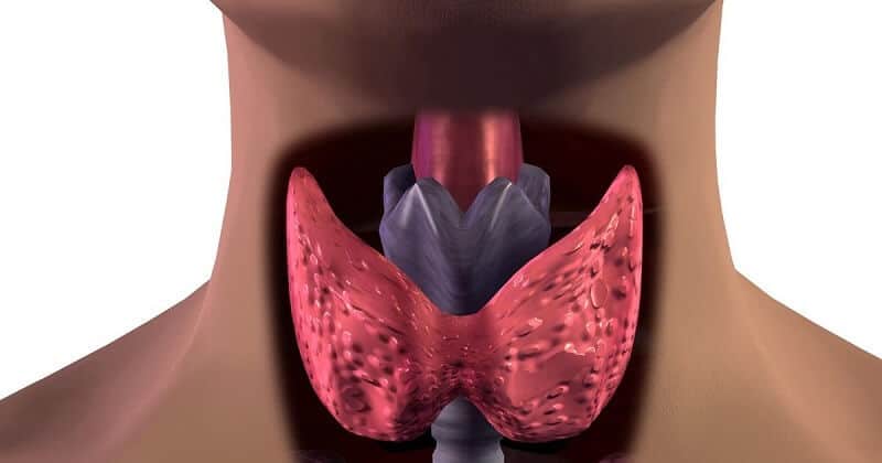 10 признаков проблем со щитовидной железой