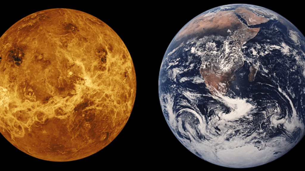 Ретроградная Венера - как влияет на отношения всех знаков зодиака