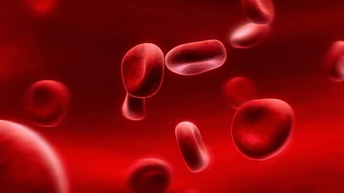 Группа крови и ее влияние характер человека